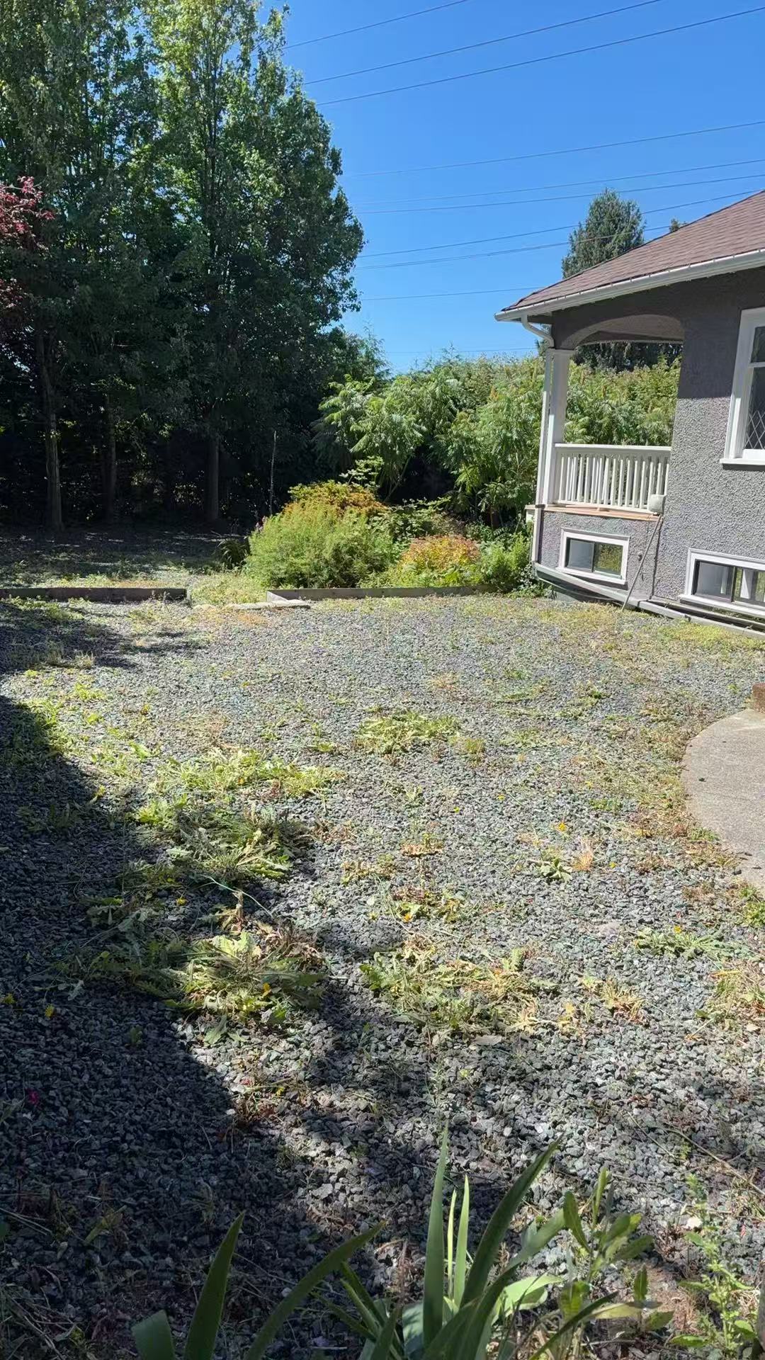 Lawn after garden maintenance