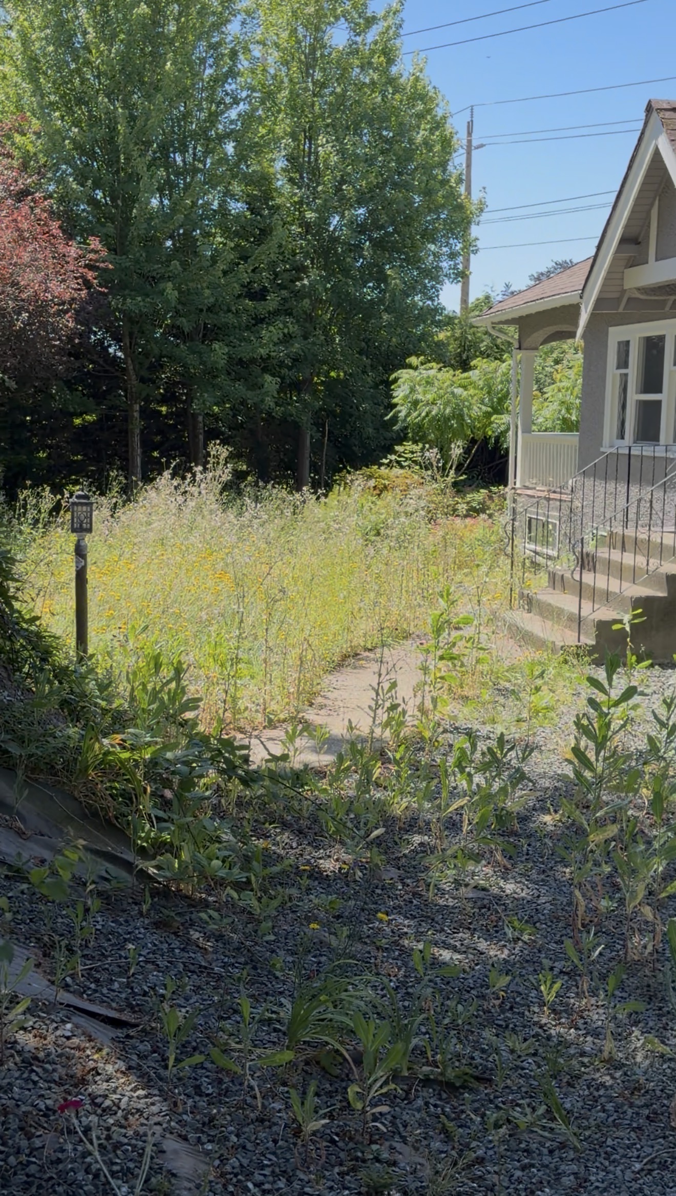 Lawn before garden maintenance